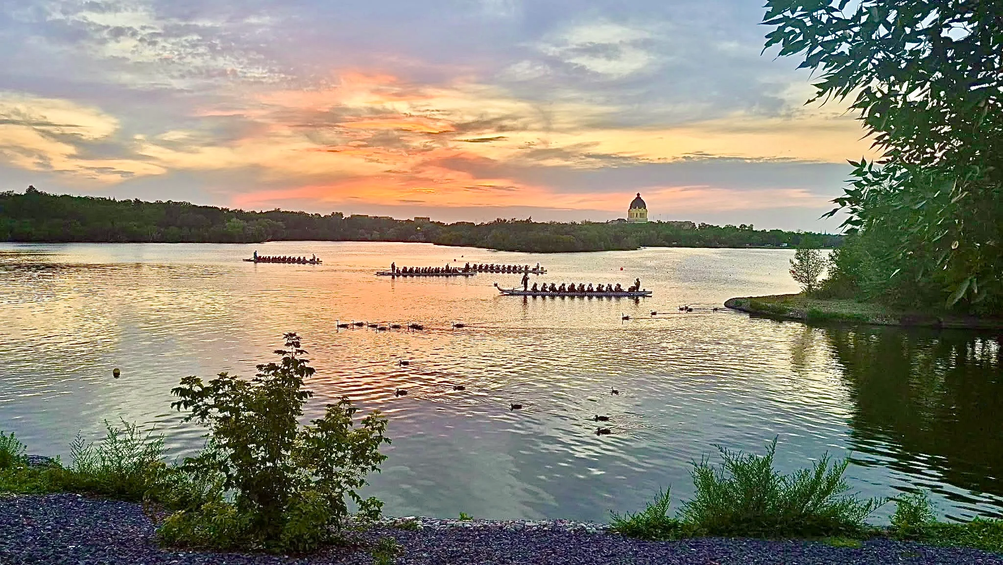 TQ Dragon Boat Club at the Regina Dragon Boat Festival, photo 16